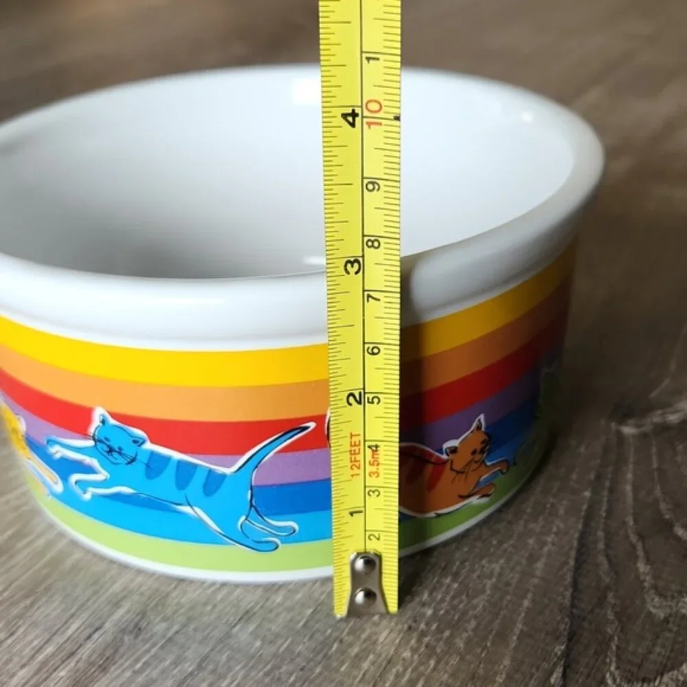 Cat Rainbow Riviera Van Beers Stoneware Cat Bowl NWOT